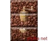 COMPOSICION COFFEE BEANS 01 ,30x20