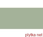 Керамічна плитка FEELINGS GREEN SCIANA REKT. 29.8х59.8 (плитка настінна) 0x0x0