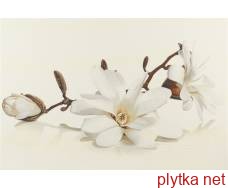 Flora Inserto Magnolia,  настенная, 450x300