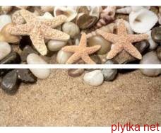 Set Starfish