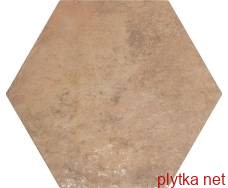 Керамогранит Плитка 32*36,8 Amazonia Cotto коричневый 320x368x0 глазурованная  полированная