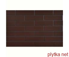 Керамічна плитка Клінкерна плитка SZKLIWIONA BRAZ 24.5х6.5х0.65 (фасад) 0x0x0