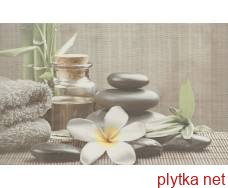 Керамічна плитка OLIVIA DECOR GREY SPA 1 25х40 (плитка настінна, декор: квіти орхідеї/каміння для СПА) 0x0x0