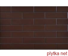 Клінкерна плитка Керамічна плитка Плитка фасадна Braz GLAZED 6,5x24,5x0,65 код 9836 Cerrad 0x0x0