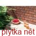 Клінкерна плитка Керамічна плитка Rot Rustiko(з відтінком) 6,5x24,5x0,65 код 9539 Cerrad 0x0x0